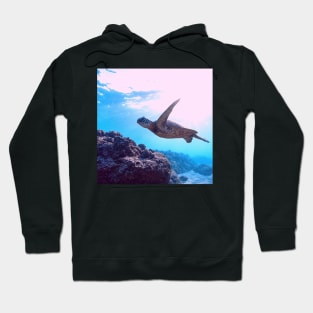 Majestic Green Sea Turtle Swimming Hoodie